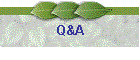 Q&A