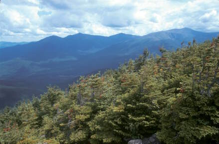 Carter Dome by Robert J Kozlow