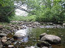 Wild River by Robert J Oppegaard