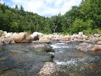 Wild River by Robert J Oppegaard