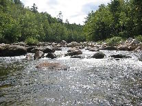 Wild River by Robert J Oppegaard